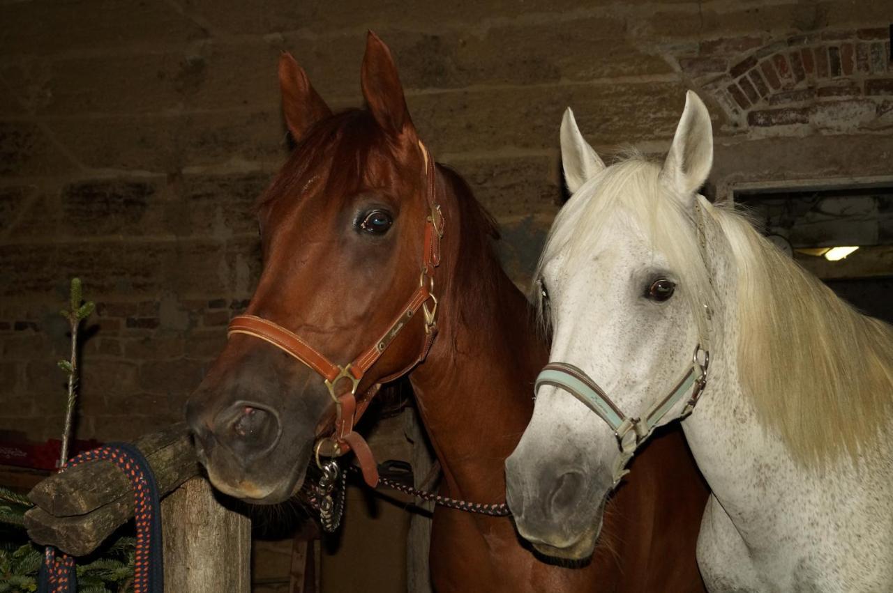 Chambre D'Hotes La Jument Grise Lescheroux Esterno foto